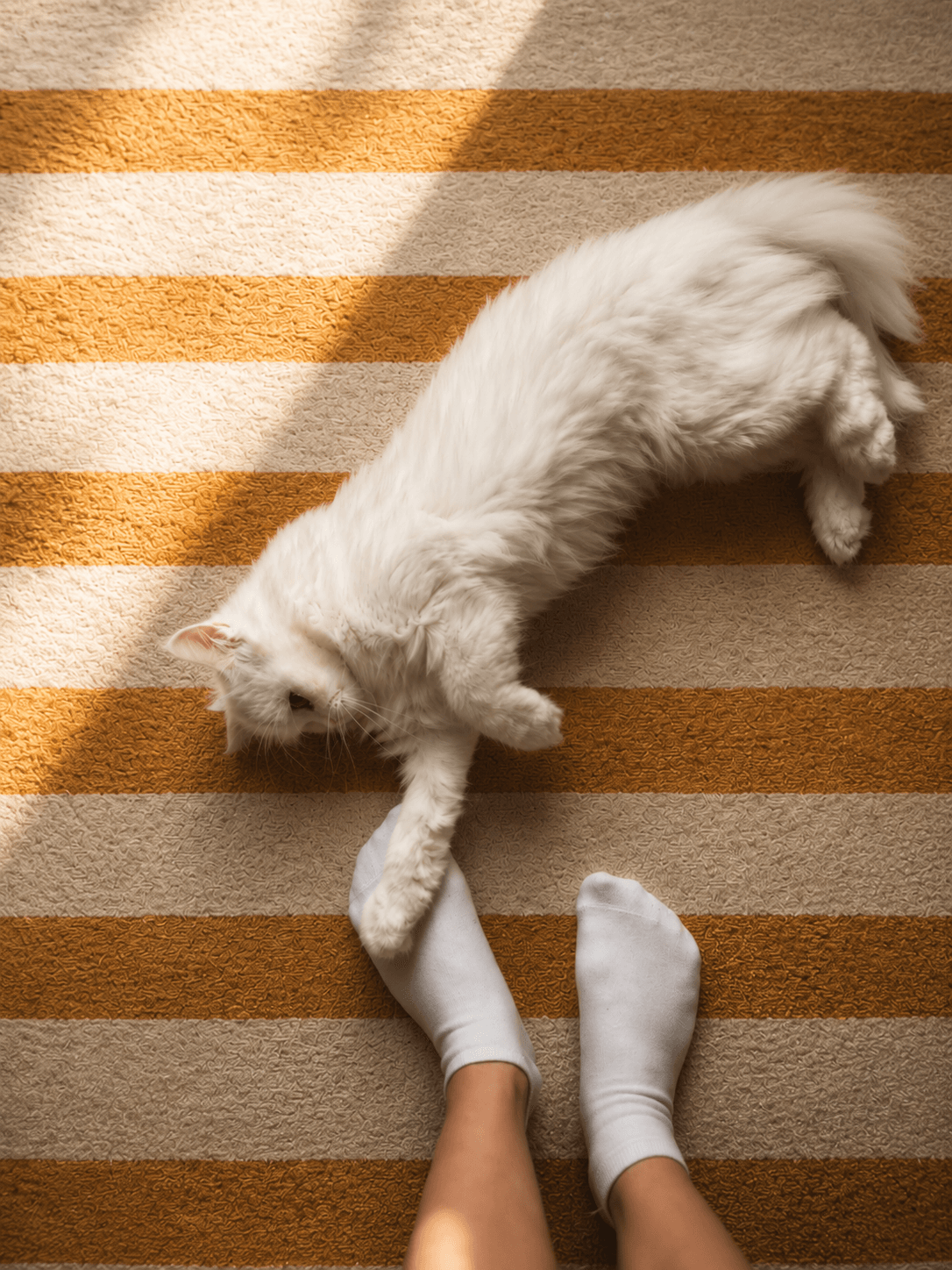 Cat Person